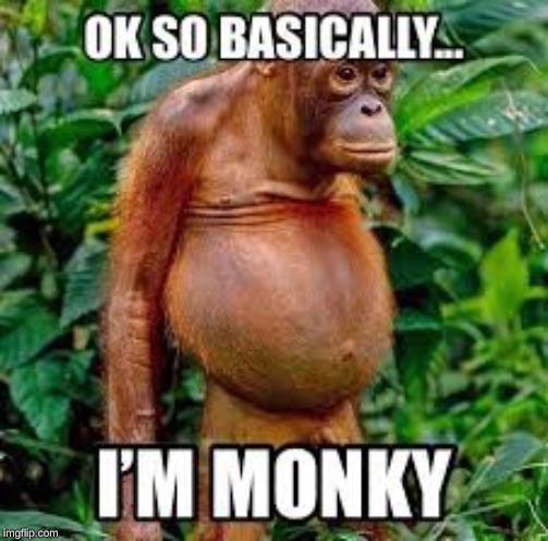 image tagged in middle school,monkey | made w/ Imgflip meme maker