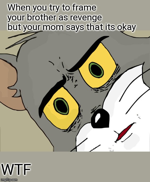 Unsettled Tom Meme | When you try to frame your brother as revenge but your mom says that its okay; WTF | image tagged in memes,unsettled tom | made w/ Imgflip meme maker