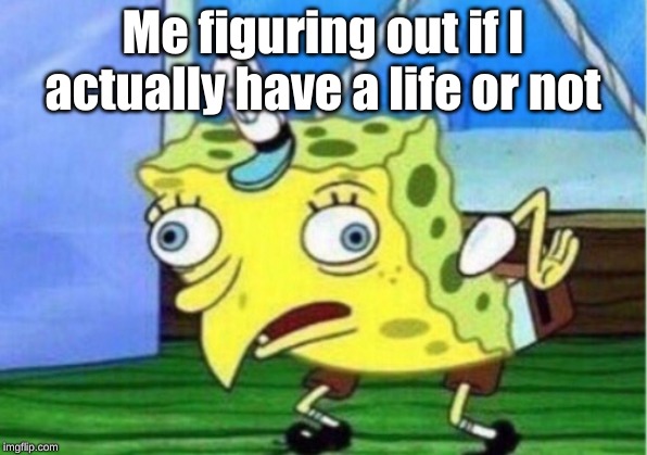 Mocking Spongebob Meme | Me figuring out if I actually have a life or not | image tagged in memes,mocking spongebob | made w/ Imgflip meme maker