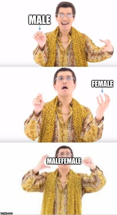 MALEFEMALE | made w/ Imgflip meme maker