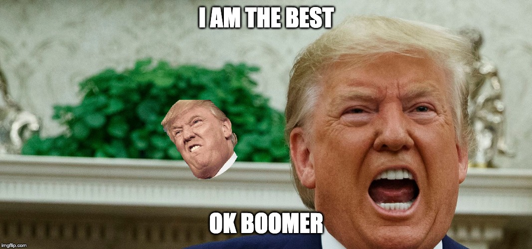 Ok Boomer | I AM THE BEST; OK BOOMER | image tagged in ok boomer,donald trump | made w/ Imgflip meme maker