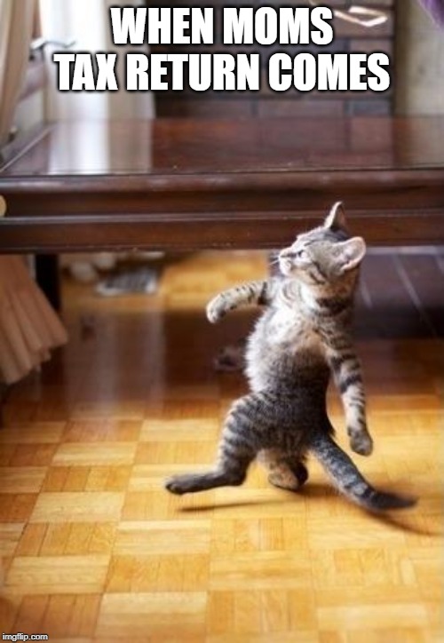 Cool Cat Stroll Meme | WHEN MOMS TAX RETURN COMES | image tagged in memes,cool cat stroll | made w/ Imgflip meme maker