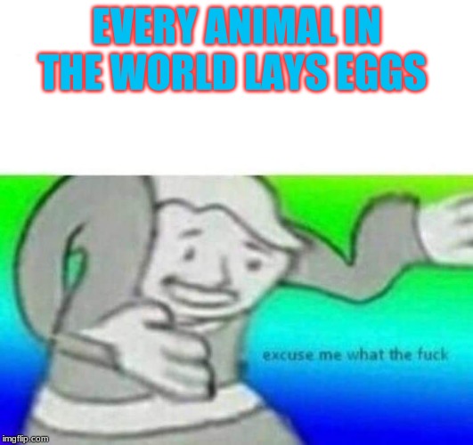 Fallout What thy f*ck | EVERY ANIMAL IN THE WORLD LAYS EGGS | image tagged in fallout what thy fck | made w/ Imgflip meme maker
