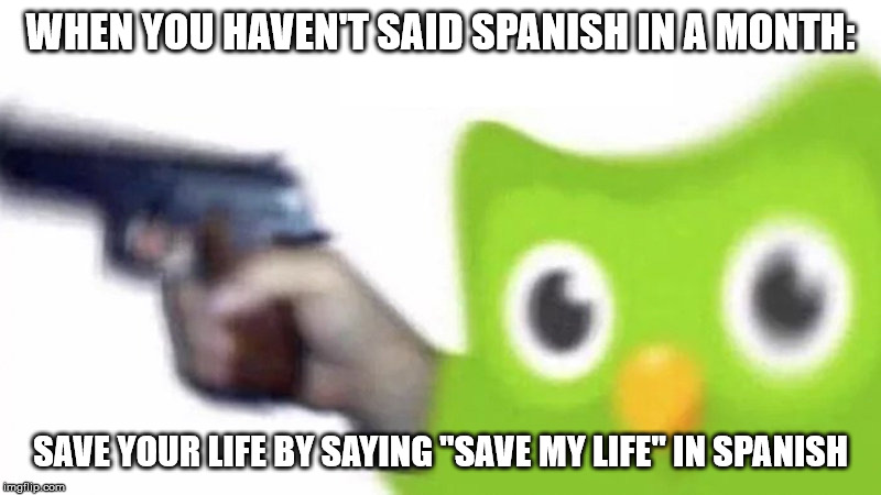 duolingo gun | WHEN YOU HAVEN'T SAID SPANISH IN A MONTH:; SAVE YOUR LIFE BY SAYING "SAVE MY LIFE" IN SPANISH | image tagged in duolingo gun | made w/ Imgflip meme maker