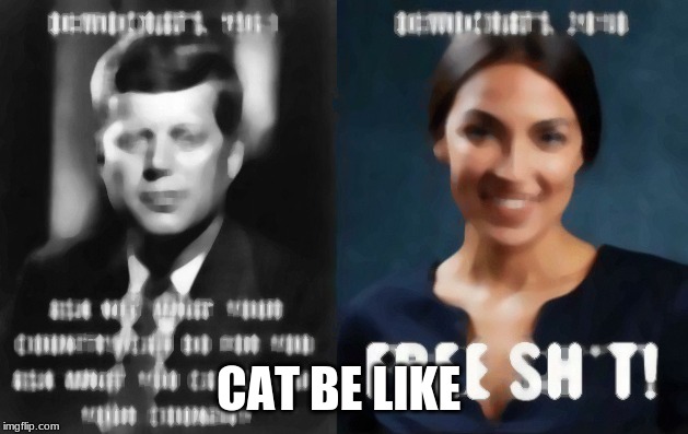 cat  be like | CAT BE LIKE | image tagged in cats | made w/ Imgflip meme maker