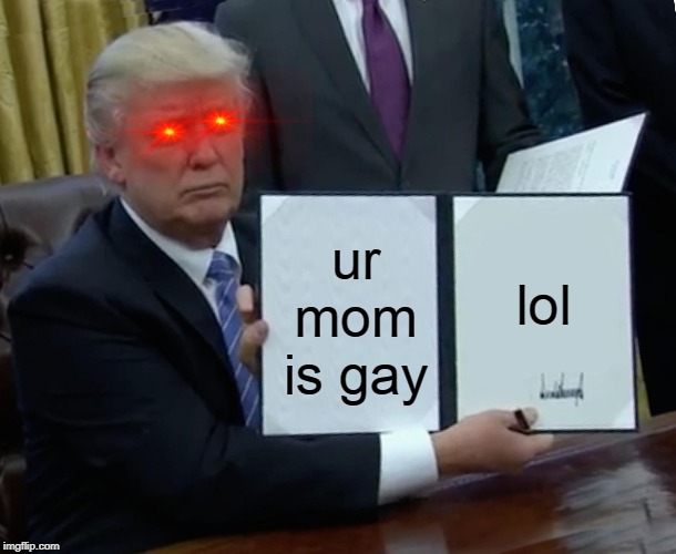 Trump Bill Signing Meme | ur mom is gay; lol | image tagged in memes,trump bill signing | made w/ Imgflip meme maker