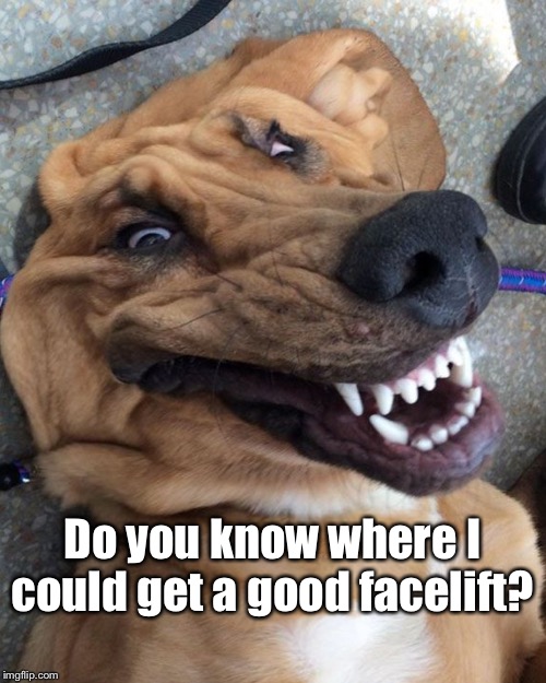 Do you know where I could get a good facelift? | made w/ Imgflip meme maker