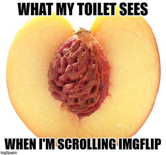 Toilet IMGFLIP | WHAT MY TOILET SEES; WHEN I'M SCROLLING IMGFLIP | image tagged in half a peach,imgflip,imgflip users,funny,funny memes,funny meme | made w/ Imgflip meme maker