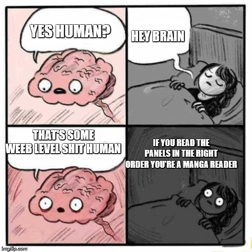 are you going to sleep? | HEY BRAIN; YES HUMAN? THAT'S SOME WEEB LEVEL SHIT HUMAN; IF YOU READ THE PANELS IN THE RIGHT ORDER YOU'RE A MANGA READER | image tagged in are you going to sleep | made w/ Imgflip meme maker