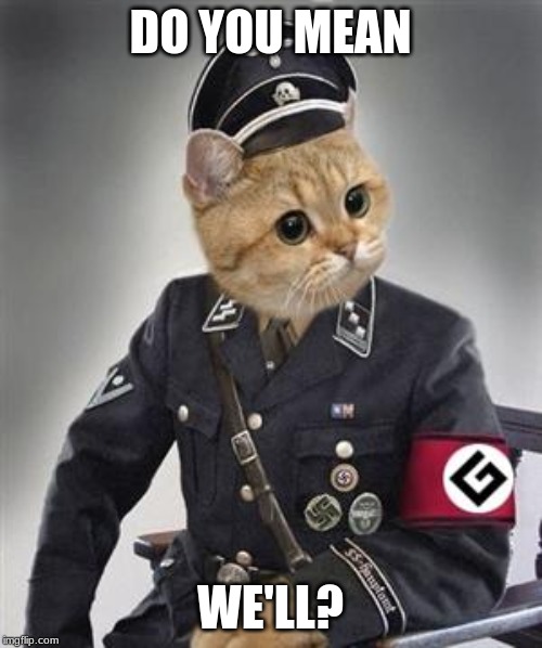 Grammar Nazi Cat | DO YOU MEAN WE'LL? | image tagged in grammar nazi cat | made w/ Imgflip meme maker