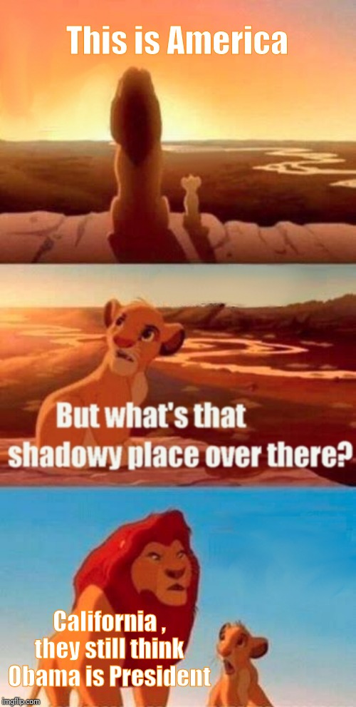 Simba Shadowy Place Meme | This is America California , they still think Obama is President | image tagged in memes,simba shadowy place | made w/ Imgflip meme maker