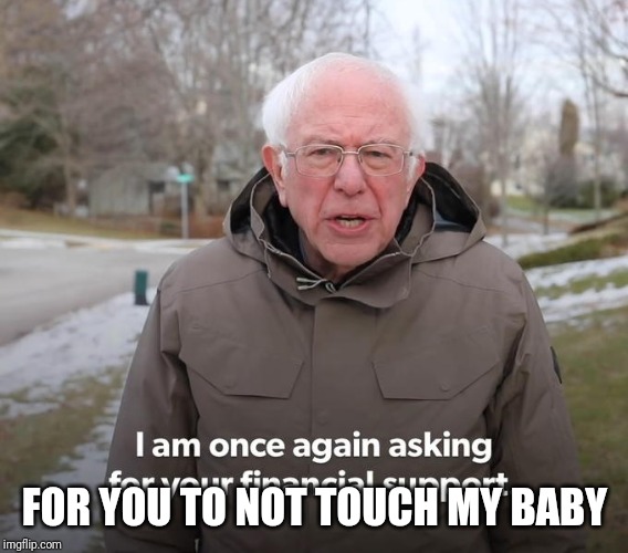 Bernie Financial Support | FOR YOU TO NOT TOUCH MY BABY | image tagged in bernie financial support | made w/ Imgflip meme maker