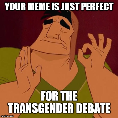 When X just right | YOUR MEME IS JUST PERFECT FOR THE TRANSGENDER DEBATE | image tagged in when x just right | made w/ Imgflip meme maker