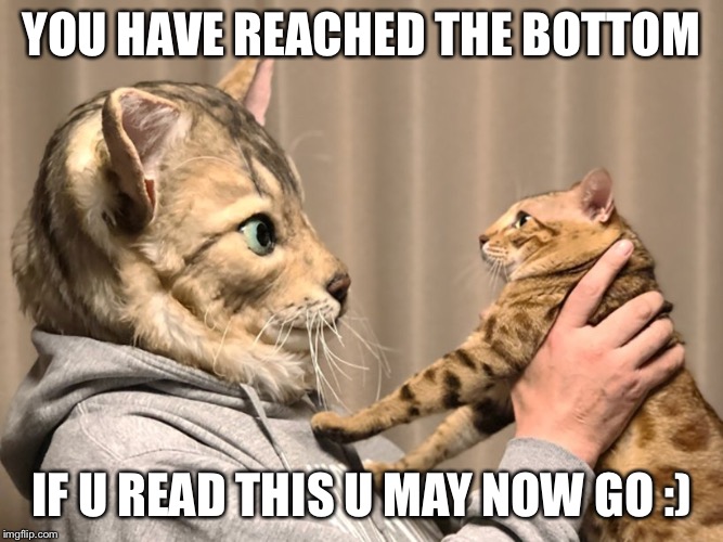 :) | YOU HAVE REACHED THE BOTTOM; IF U READ THIS U MAY NOW GO :) | image tagged in cats,go,plz,or,else,haha | made w/ Imgflip meme maker