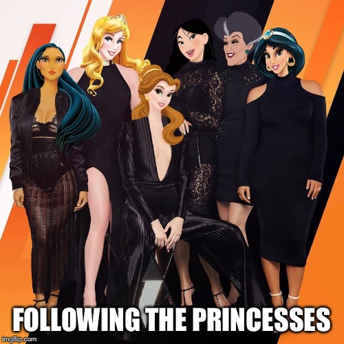 FOLLOWING THE PRINCESSES | image tagged in princess,disney | made w/ Imgflip meme maker