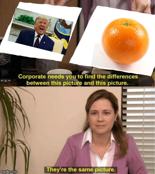 It's the same thing | image tagged in corporate needs you to find the differences,donald trump,donald trump the clown,orange,annoying orange | made w/ Imgflip meme maker