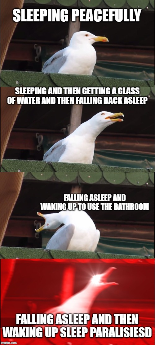 Inhaling Seagull | SLEEPING PEACEFULLY; SLEEPING AND THEN GETTING A GLASS OF WATER AND THEN FALLING BACK ASLEEP; FALLING ASLEEP AND WAKING UP TO USE THE BATHROOM; FALLING ASLEEP AND THEN WAKING UP SLEEP PARALISIESD | image tagged in memes,inhaling seagull | made w/ Imgflip meme maker