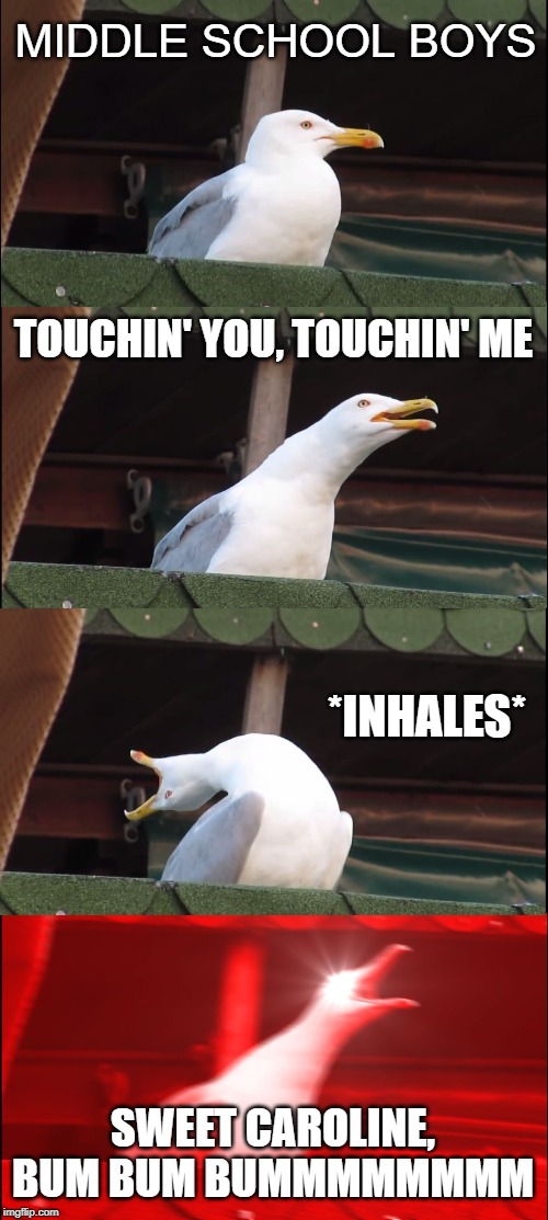 Inhaling Seagull Meme | MIDDLE SCHOOL BOYS; TOUCHIN' YOU, TOUCHIN' ME; *INHALES*; SWEET CAROLINE, BUM BUM BUMMMMMMMM | image tagged in memes,inhaling seagull | made w/ Imgflip meme maker