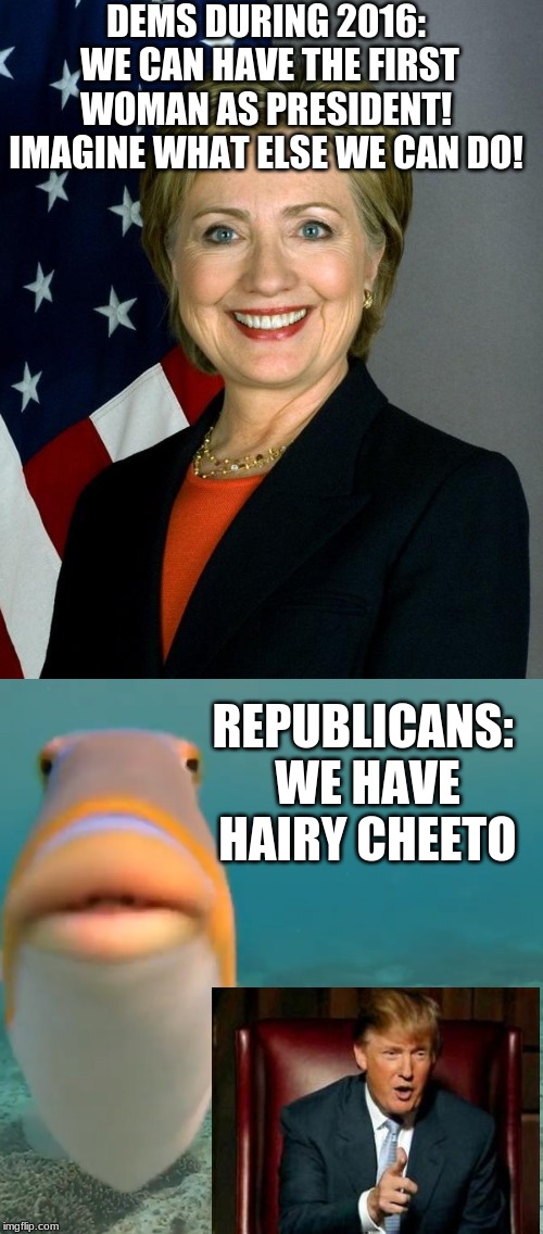 DEMS DURING 2016:
 WE CAN HAVE THE FIRST WOMAN AS PRESIDENT! IMAGINE WHAT ELSE WE CAN DO! REPUBLICANS: 
WE HAVE HAIRY CHEETO | image tagged in memes,hillary clinton,helo | made w/ Imgflip meme maker