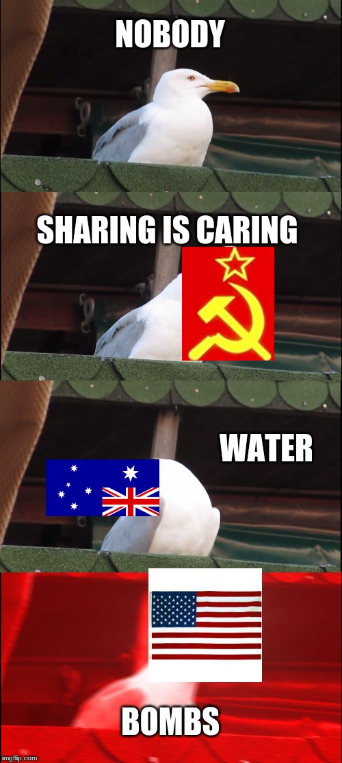 Inhaling Seagull | NOBODY; SHARING IS CARING; WATER; BOMBS | image tagged in memes,inhaling seagull | made w/ Imgflip meme maker