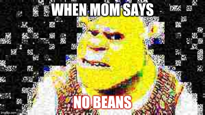 bean | WHEN MOM SAYS; NO BEANS | image tagged in beans,shrek,deep fried | made w/ Imgflip meme maker