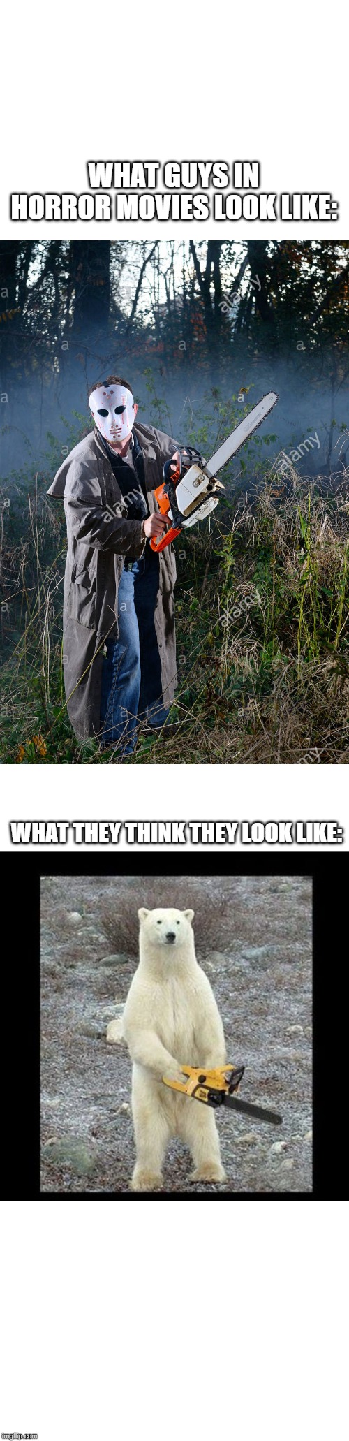 WHAT GUYS IN HORROR MOVIES LOOK LIKE:; WHAT THEY THINK THEY LOOK LIKE: | image tagged in memes,chainsaw bear | made w/ Imgflip meme maker