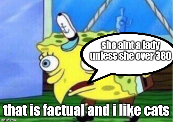 Mocking Spongebob | she aint a lady unless she over 380; that is factual and i like cats | image tagged in memes,mocking spongebob | made w/ Imgflip meme maker