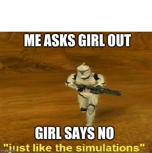Just Like The Simulations Blank