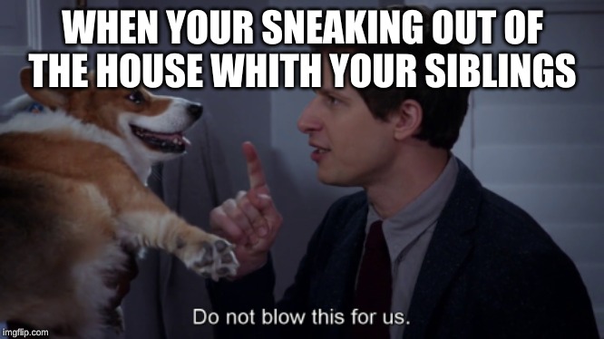 siblings | WHEN YOUR SNEAKING OUT OF THE HOUSE WHITH YOUR SIBLINGS | image tagged in do not blow this for us brooklyn 99 | made w/ Imgflip meme maker