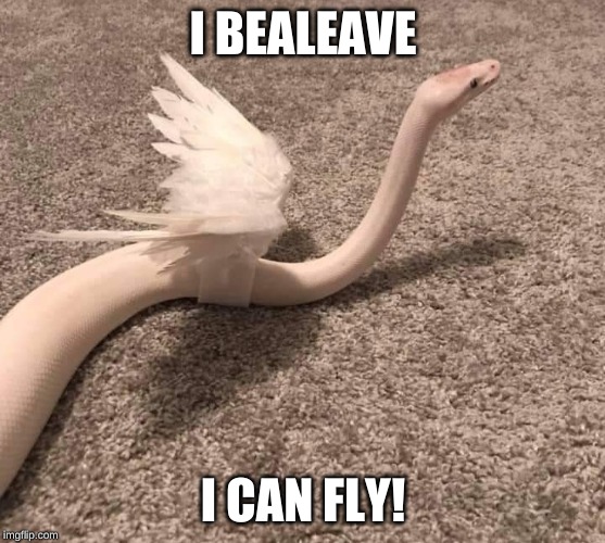 Angelisssk | I BEALEAVE; I CAN FLY! | image tagged in angelisssk | made w/ Imgflip meme maker
