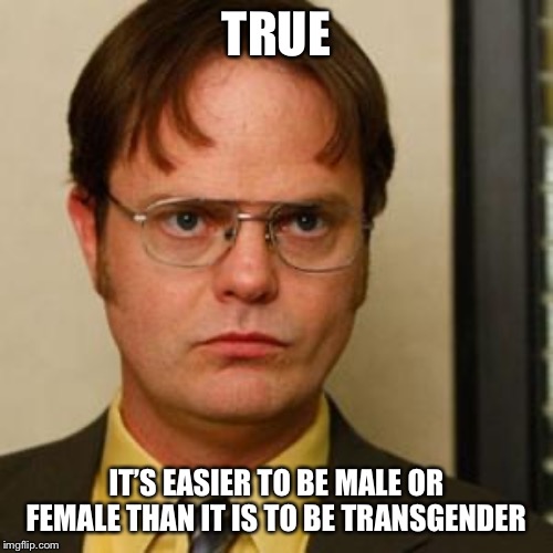 Dwight fact | TRUE IT’S EASIER TO BE MALE OR FEMALE THAN IT IS TO BE TRANSGENDER | image tagged in dwight fact | made w/ Imgflip meme maker