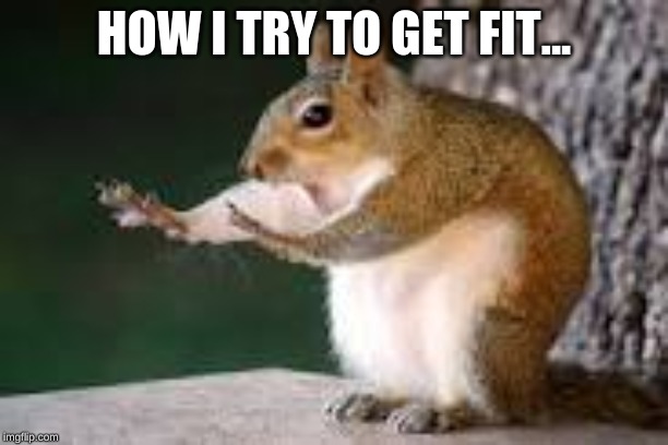 squating squirrel | HOW I TRY TO GET FIT... | image tagged in memes | made w/ Imgflip meme maker