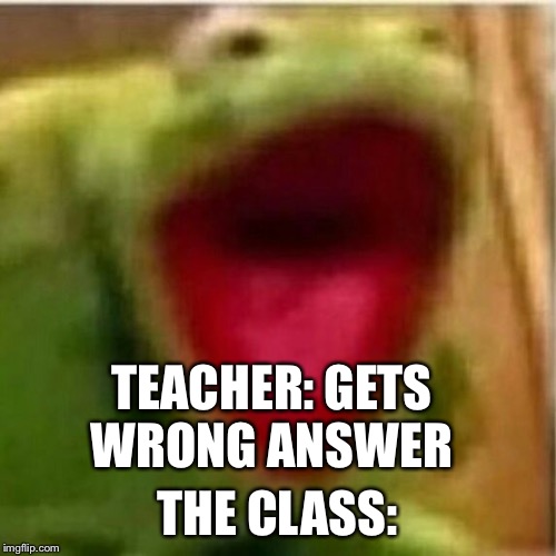 AHHHHHHHHHHHHH | TEACHER: GETS WRONG ANSWER; THE CLASS: | image tagged in ahhhhhhhhhhhhh | made w/ Imgflip meme maker