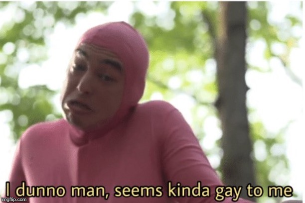 I dunno man seems kinda gay to me | image tagged in i dunno man seems kinda gay to me | made w/ Imgflip meme maker