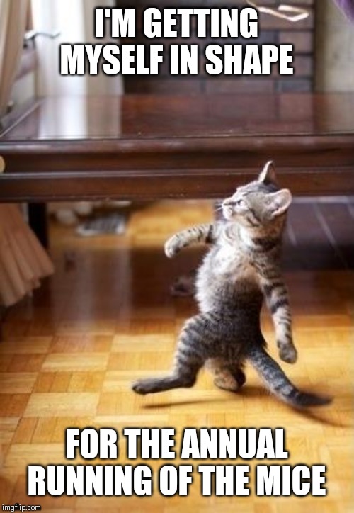 Cool Cat Stroll | I'M GETTING MYSELF IN SHAPE; FOR THE ANNUAL RUNNING OF THE MICE | image tagged in memes,cool cat stroll | made w/ Imgflip meme maker