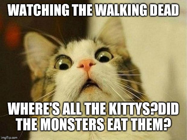 Scared Cat Meme | WATCHING THE WALKING DEAD; WHERE'S ALL THE KITTYS?DID THE MONSTERS EAT THEM? | image tagged in memes,scared cat | made w/ Imgflip meme maker