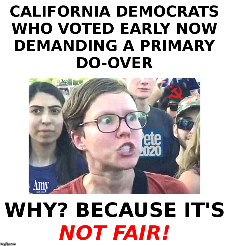 California Democrats Demand Primary Do Over! | image tagged in triggered liberal,democrats,crying democrats,presidential candidates,presidential race | made w/ Imgflip meme maker