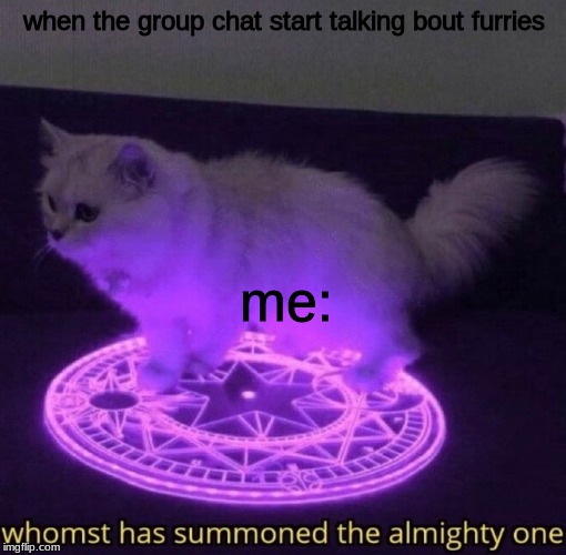 Whomst has summoned the almighty one | when the group chat start talking bout furries; me: | image tagged in whomst has summoned the almighty one | made w/ Imgflip meme maker