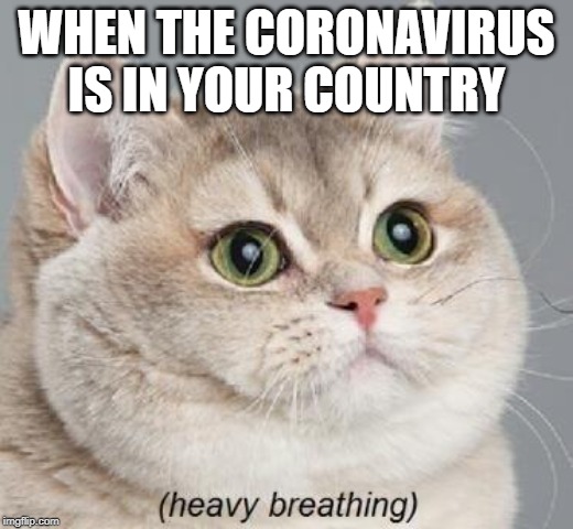Heavy Breathing Cat | WHEN THE CORONAVIRUS IS IN YOUR COUNTRY | image tagged in memes,heavy breathing cat | made w/ Imgflip meme maker