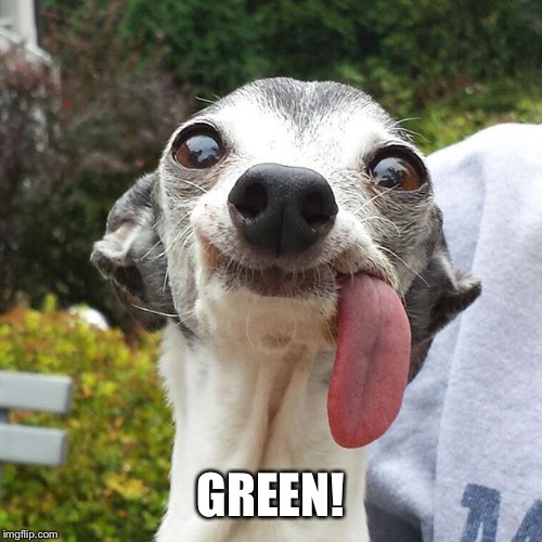 Dog tongue | GREEN! | image tagged in dog tongue | made w/ Imgflip meme maker