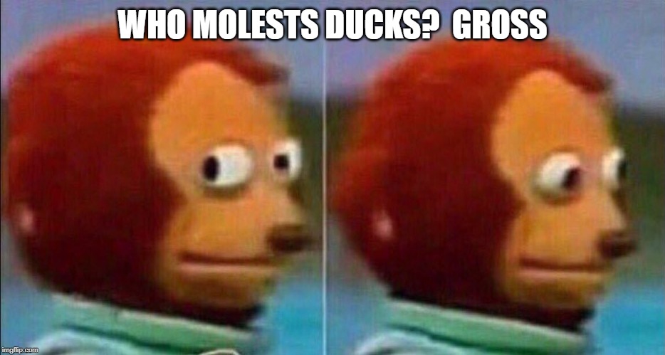 Monkey looking away | WHO MOLESTS DUCKS?  GROSS | image tagged in monkey looking away | made w/ Imgflip meme maker