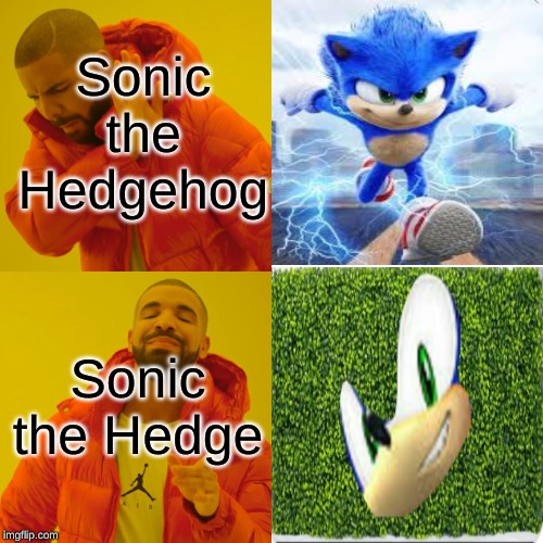 Sonic the Hedgehog memez | Sonic the Hedgehog; Sonic the Hedge | image tagged in memes,drake hotline bling | made w/ Imgflip meme maker