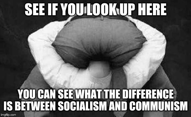Head up ass  | SEE IF YOU LOOK UP HERE YOU CAN SEE WHAT THE DIFFERENCE IS BETWEEN SOCIALISM AND COMMUNISM | image tagged in head up ass | made w/ Imgflip meme maker