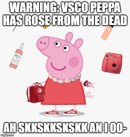 Vsco peppa | WARNING: VSCO PEPPA HAS ROSE FROM THE DEAD; AH SKKSKKSKSKK AN I OO- | image tagged in vsco peppa | made w/ Imgflip meme maker