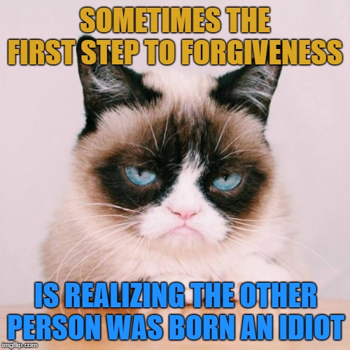 No Hard Feelings | SOMETIMES THE FIRST STEP TO FORGIVENESS; IS REALIZING THE OTHER PERSON WAS BORN AN IDIOT | image tagged in grumpy cat again,memes,grumpy cat | made w/ Imgflip meme maker