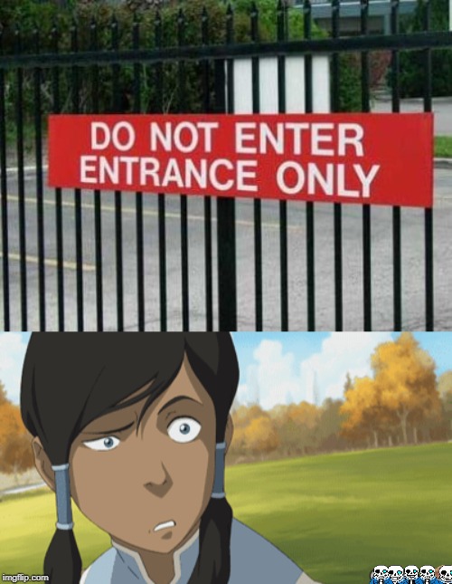 Confuzzled | image tagged in irony,the legend of korra | made w/ Imgflip meme maker