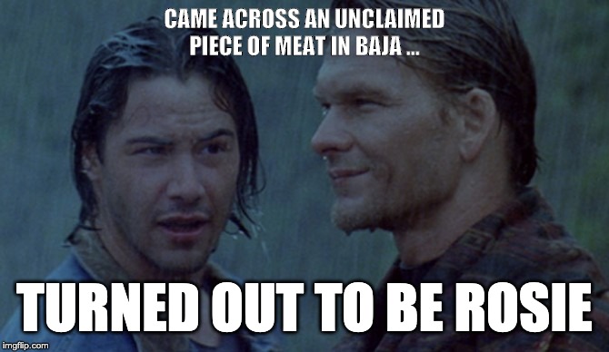 CAME ACROSS AN UNCLAIMED PIECE OF MEAT IN BAJA ... TURNED OUT TO BE ROSIE | image tagged in rosie,keanu reeves | made w/ Imgflip meme maker
