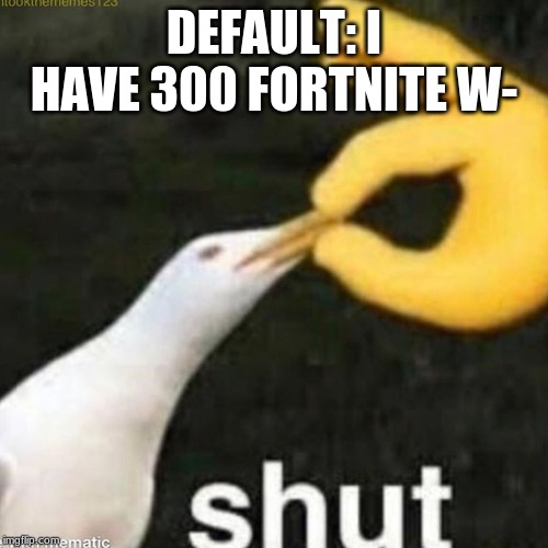 Shut Gull | DEFAULT: I HAVE 300 FORTNITE W- | image tagged in shut gull | made w/ Imgflip meme maker