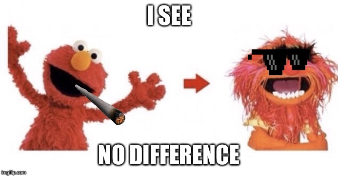 animal vs elmo | I SEE; NO DIFFERENCE | image tagged in animal vs elmo | made w/ Imgflip meme maker