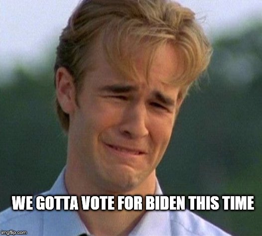 Democrat World Problems | WE GOTTA VOTE FOR BIDEN THIS TIME | image tagged in memes,1990s first world problems | made w/ Imgflip meme maker